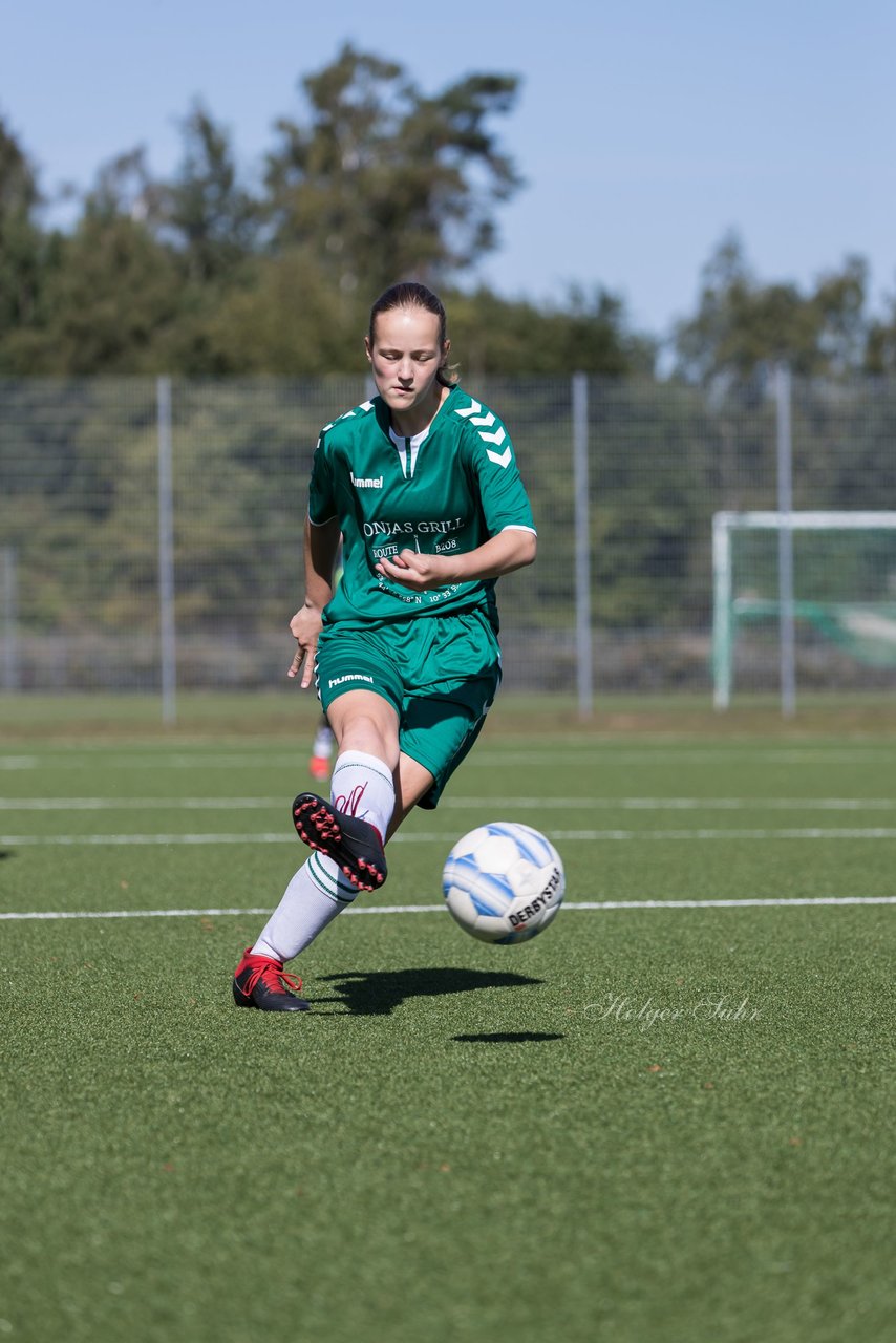 Bild 90 - wBJ FSG Kaltenkirchen - MSG Siebenbaeumen-Krummesse : Ergebnis: 2:5